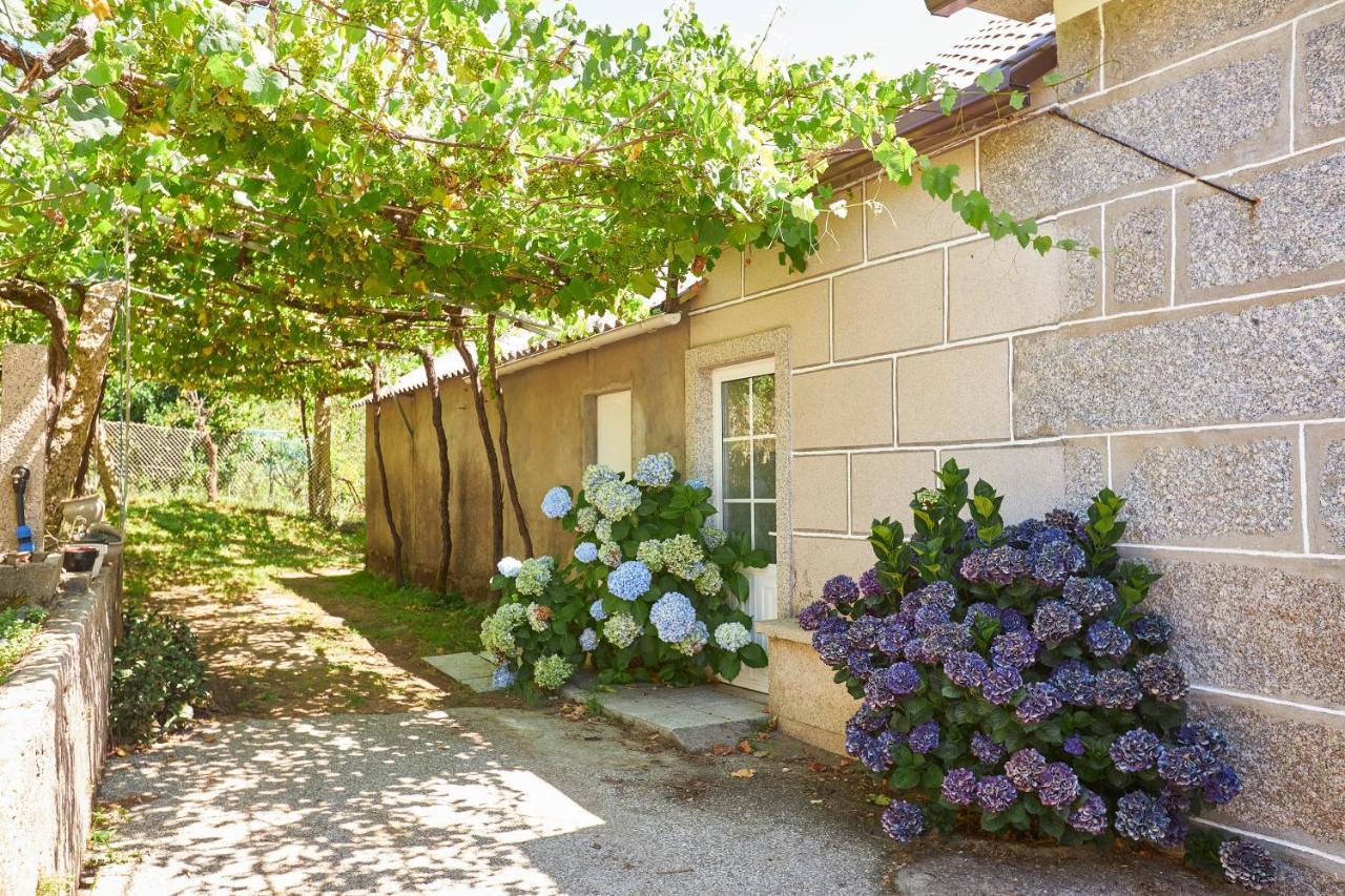 Enoturismo Casa De Chantada